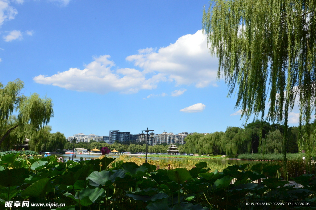 公园风景 