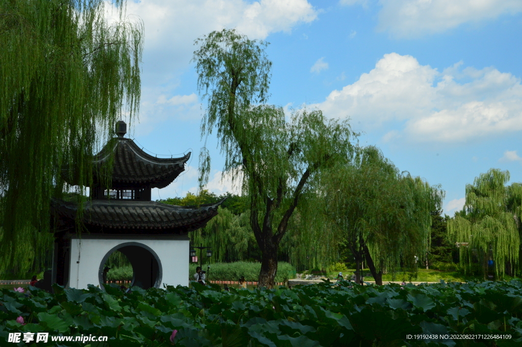 公园风景 