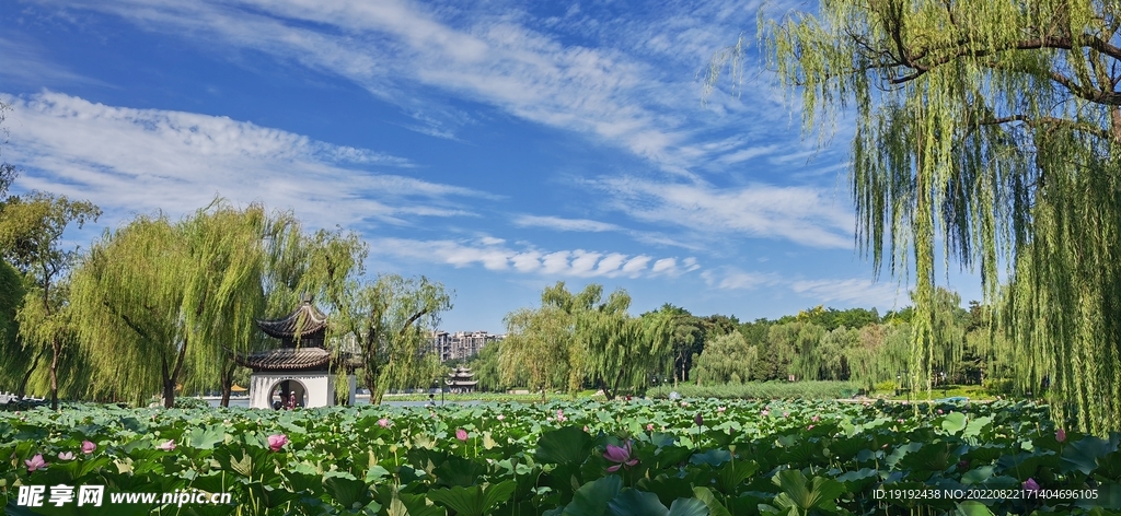 公园风景 