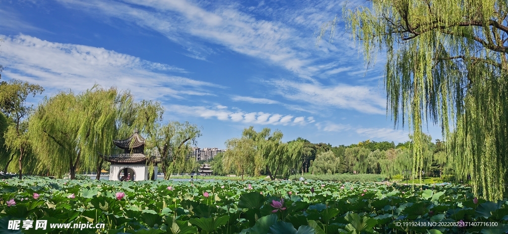 公园风景