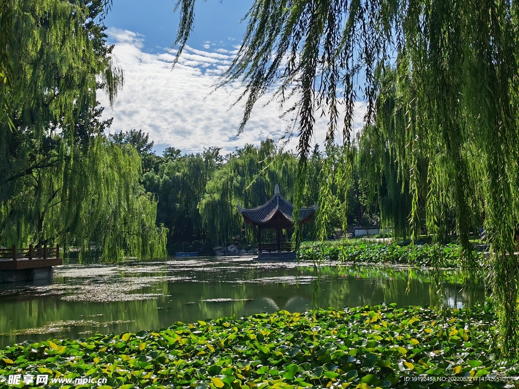 公园风景