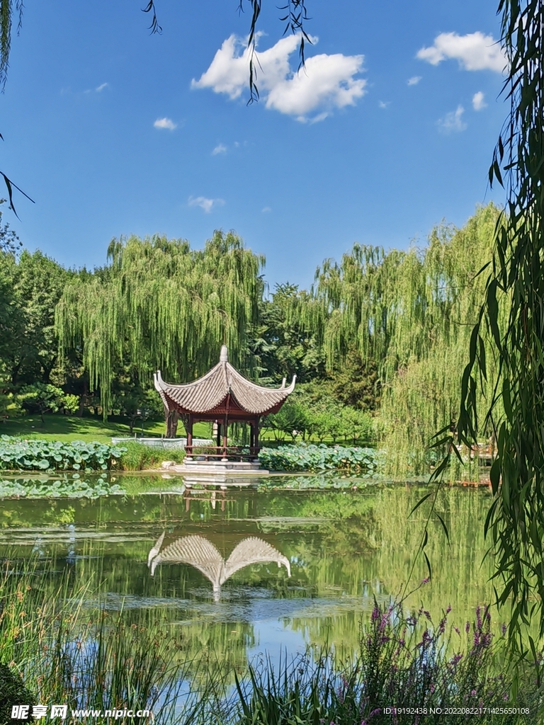 园林风景  