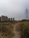 城市旁边