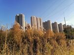 城市住宅