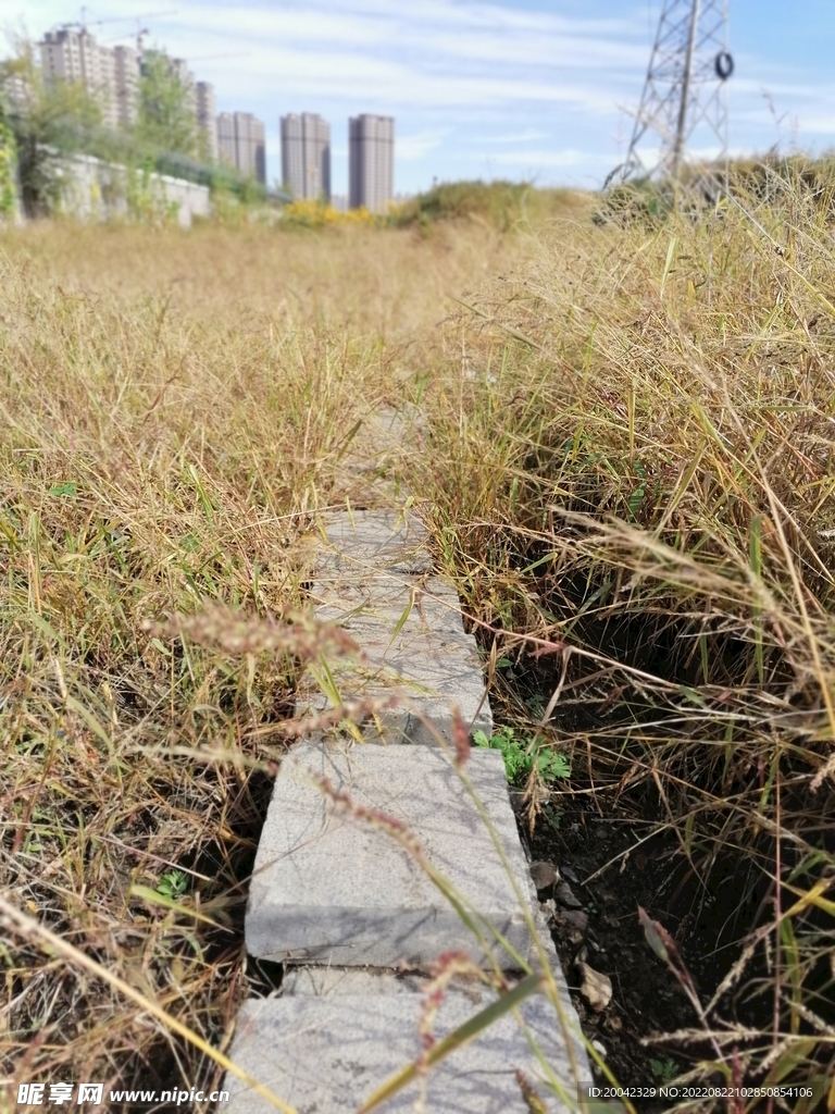 城市小路
