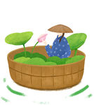 处暑