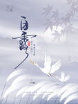 节气白露
