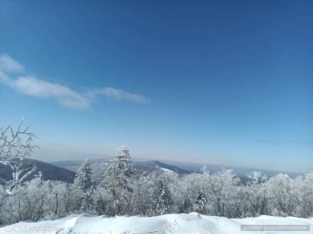 雪地