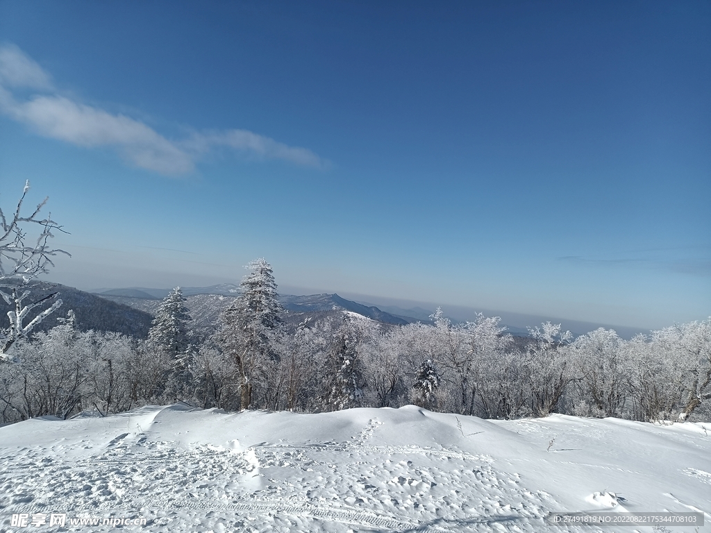 雪地