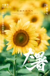 二十四节气大暑海报