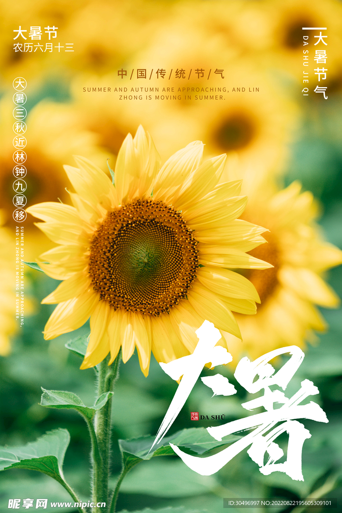 二十四节气大暑海报
