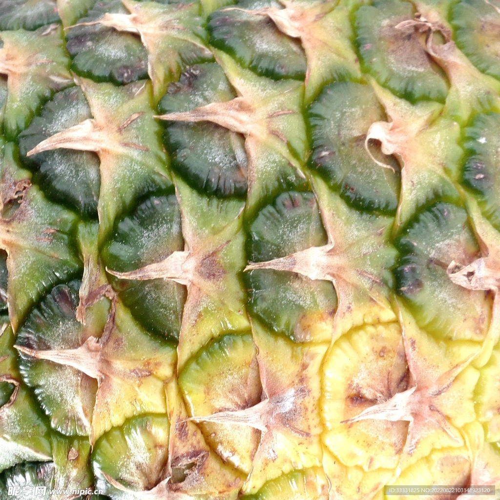 菠萝