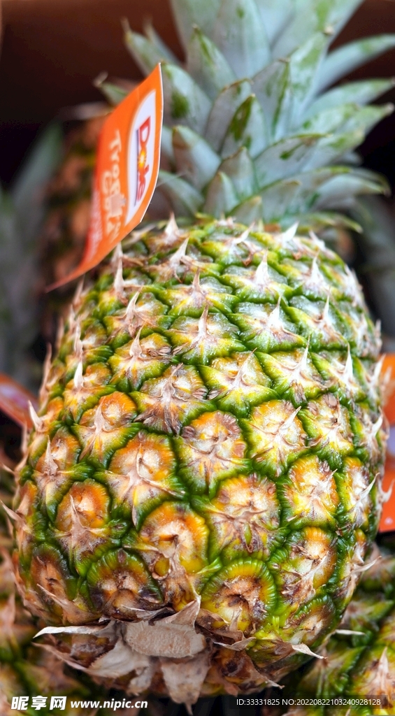 菠萝