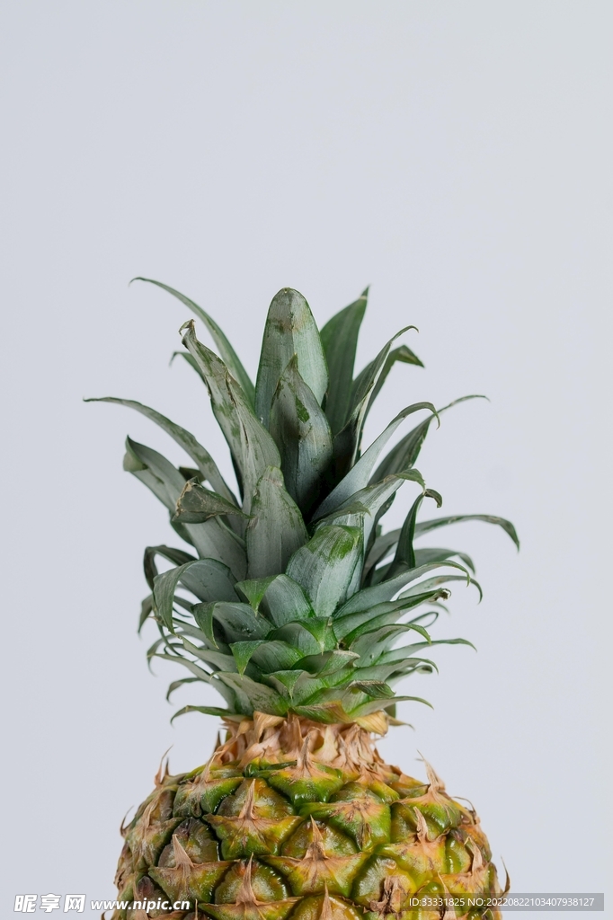 菠萝