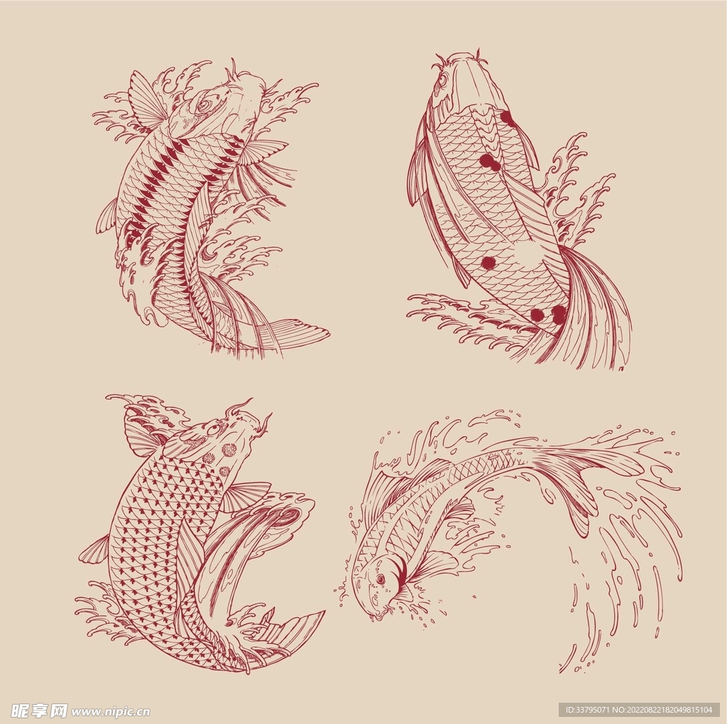 鲤鱼锦鲤矢量图案中国风