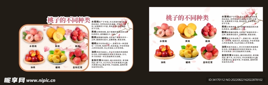 桃子的分类