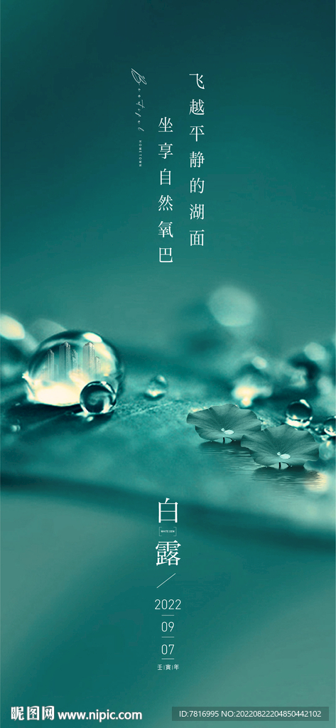 白露荷香