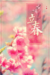 立春  二十四节气    海报