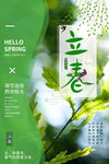 立春  二十四节气    海报