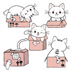 卡通猫咪