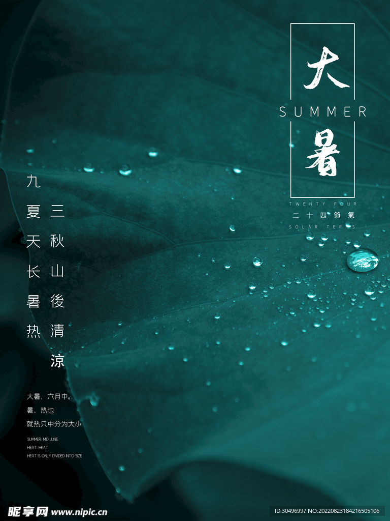 二十四节气大暑海报