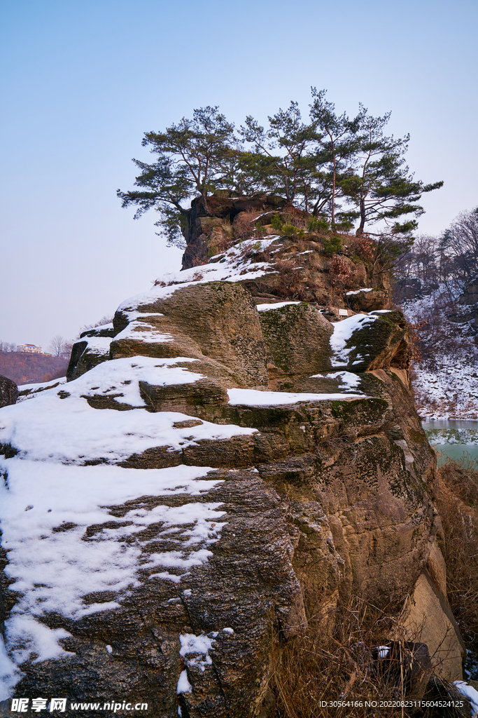 冬季雪山山脉松树