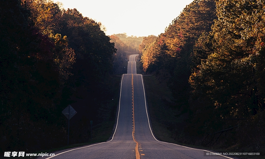 蜿蜒的公路