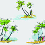 椰树  热带