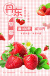 水果海报-丹东草莓