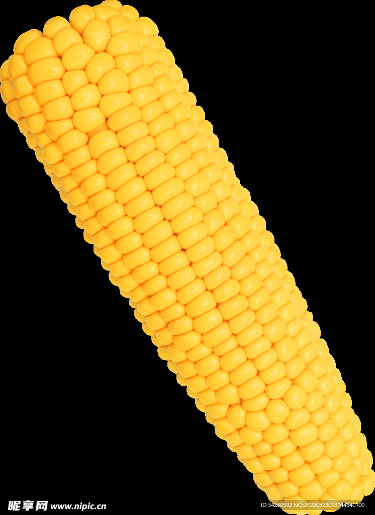 玉米