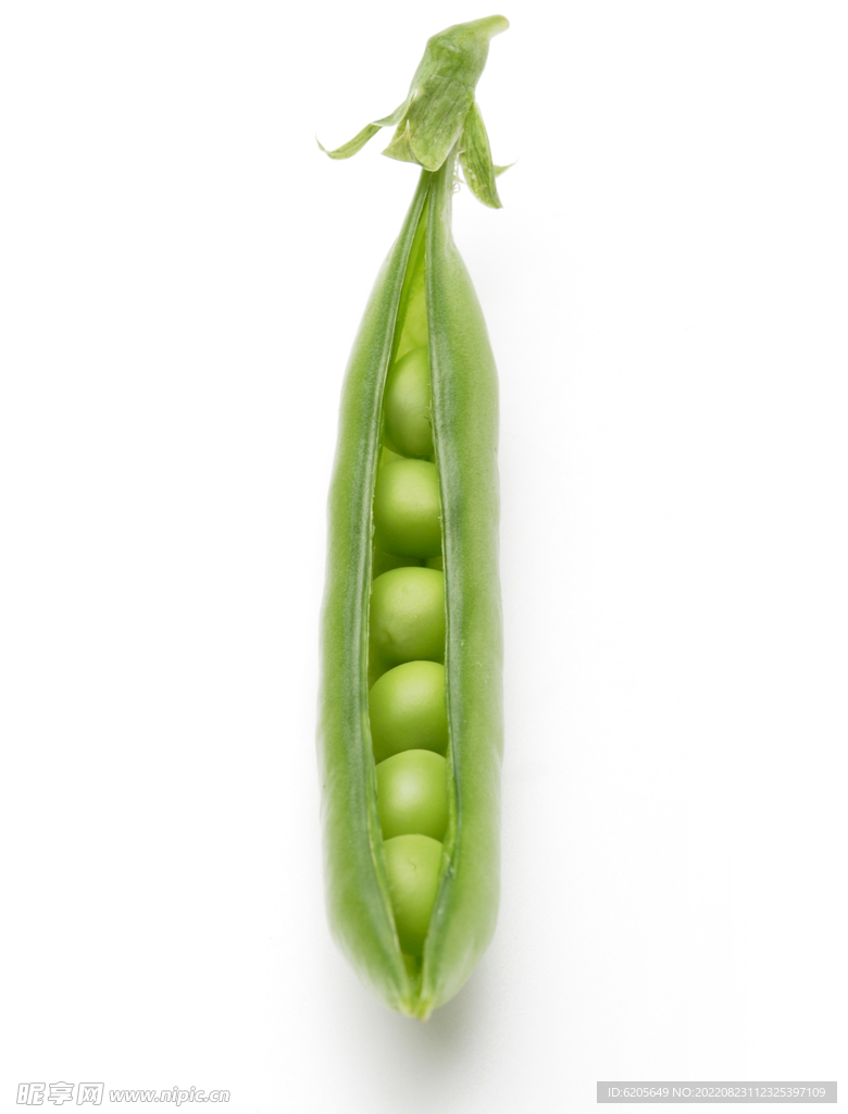 豌豆荷兰豆