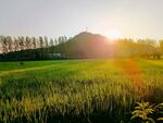 田园风光