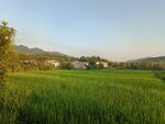 田园风光