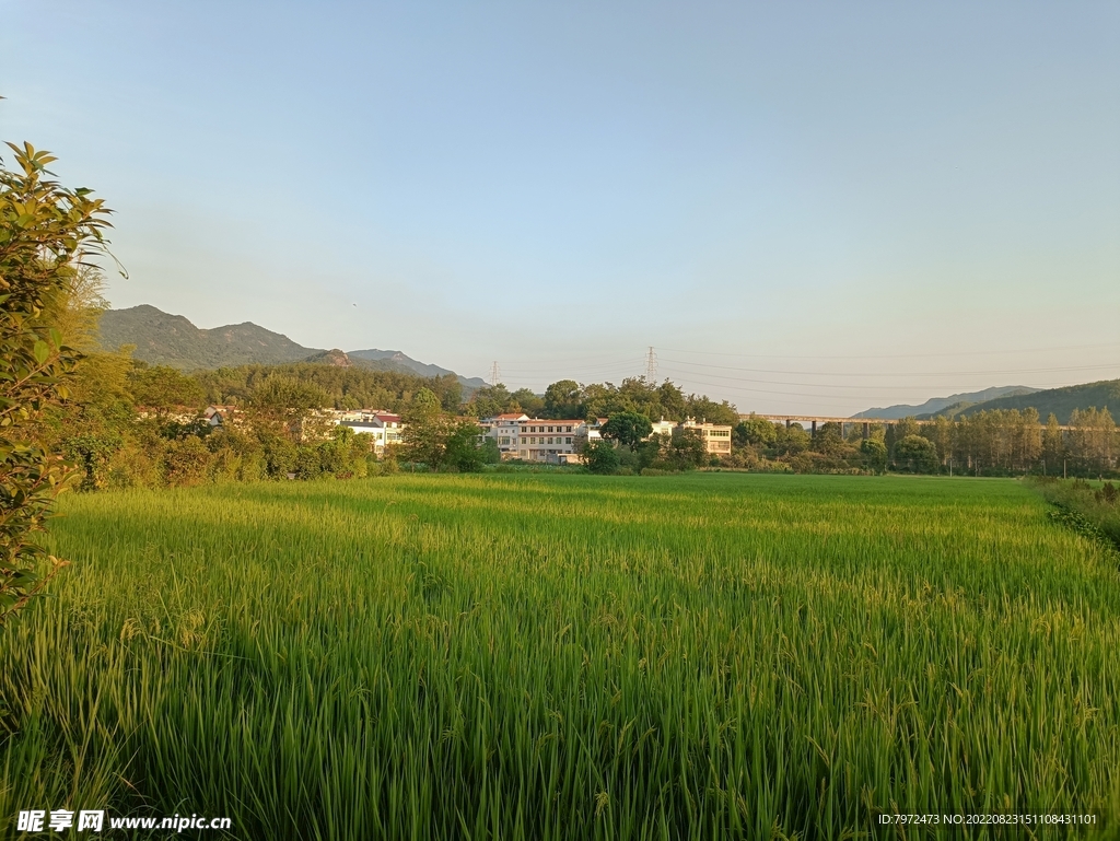 田园风光