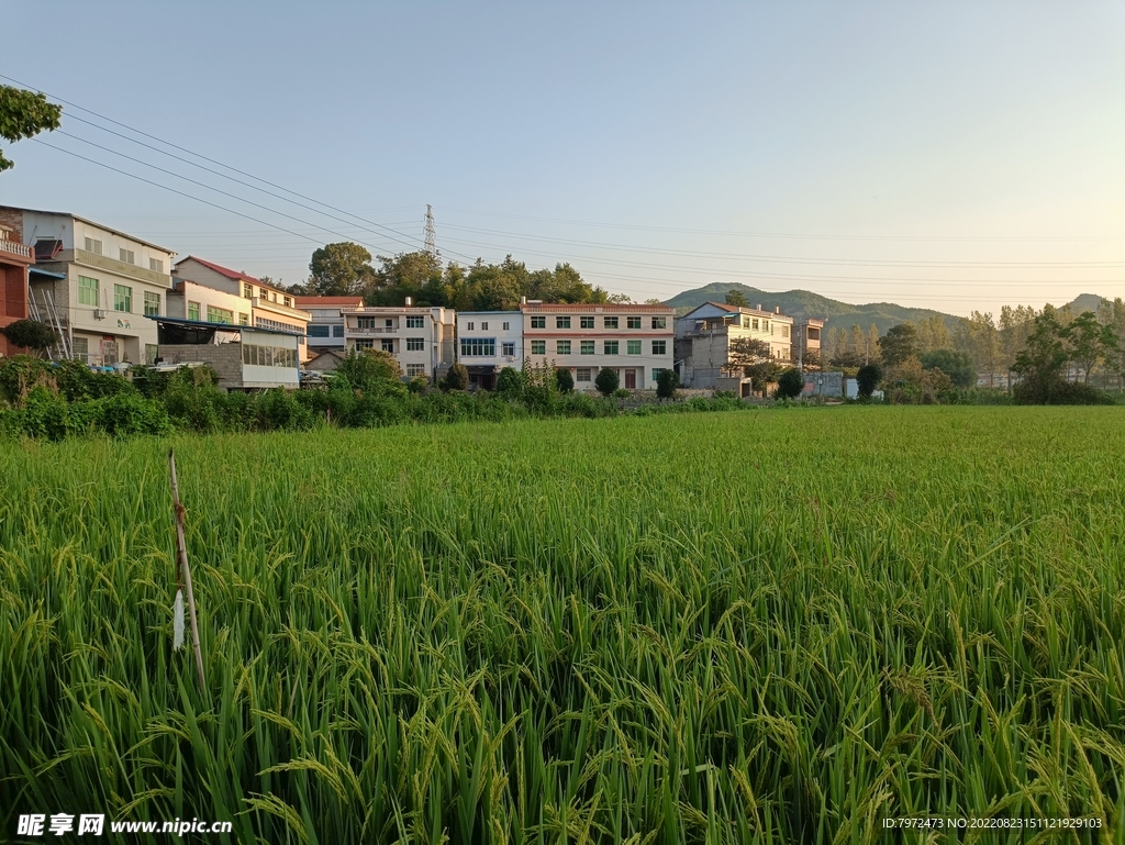 田园风光