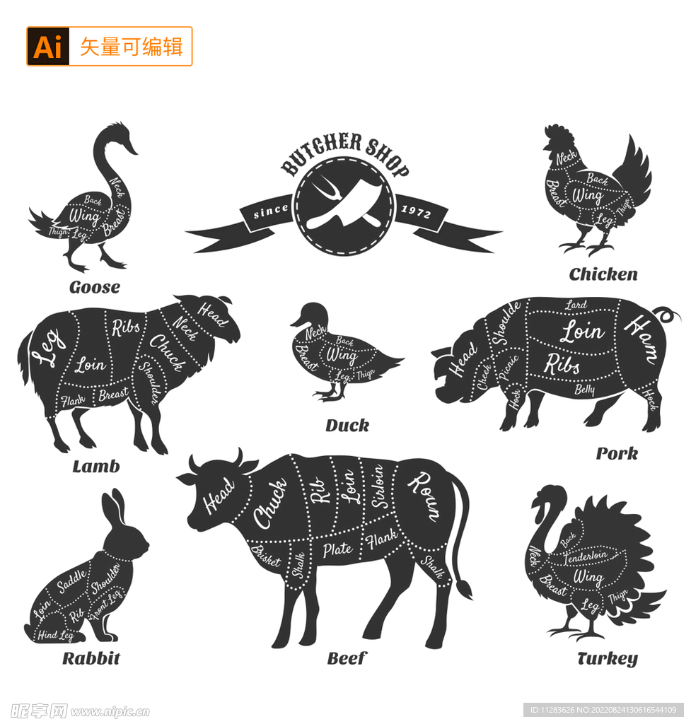 动物肉质分区图
