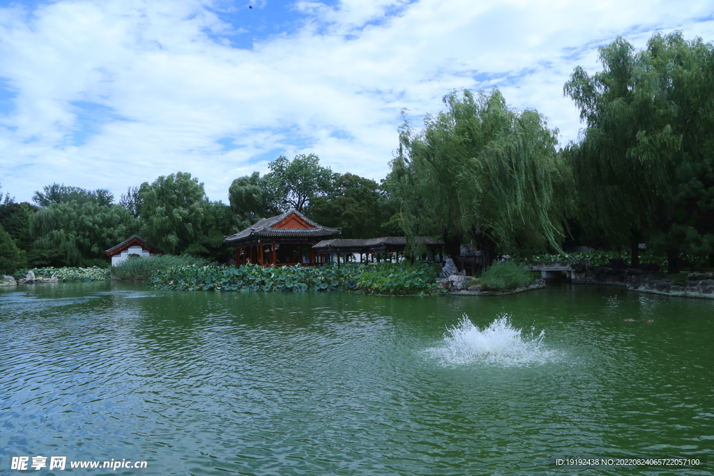 园林风景  