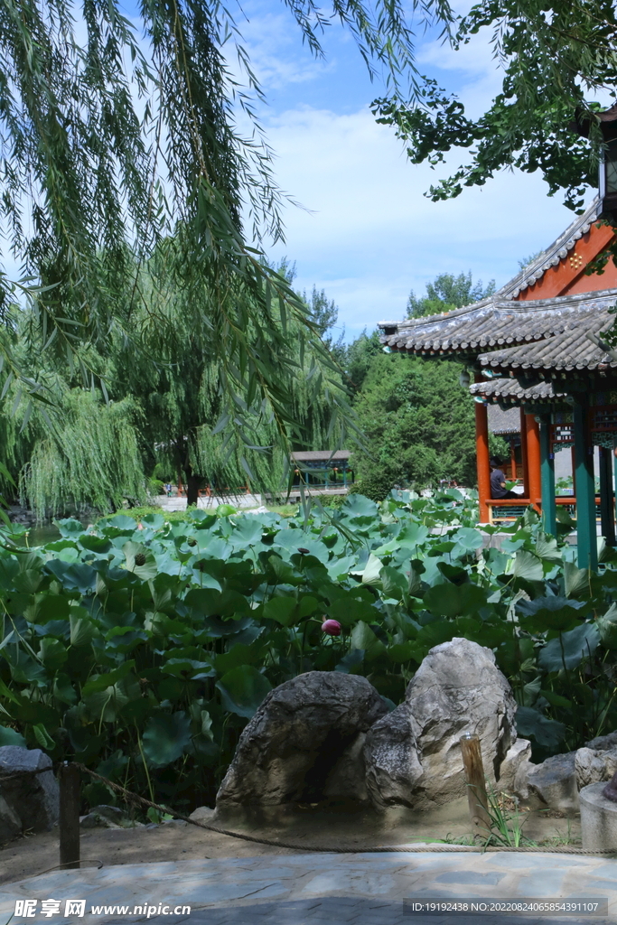 园林风景