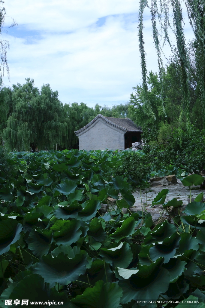 园林风景 