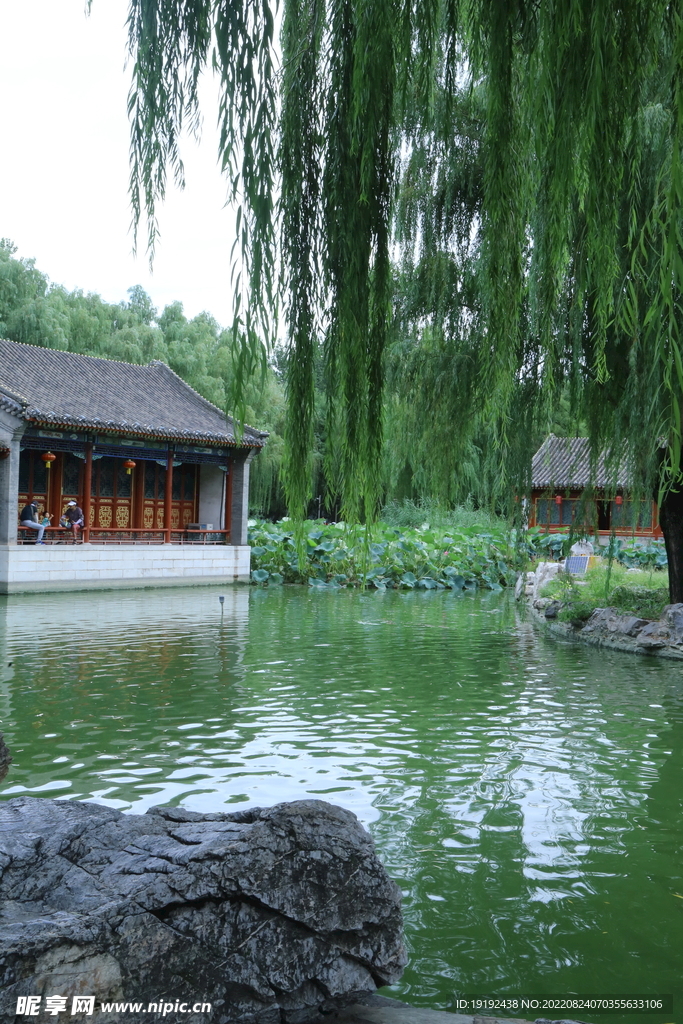 公园风景