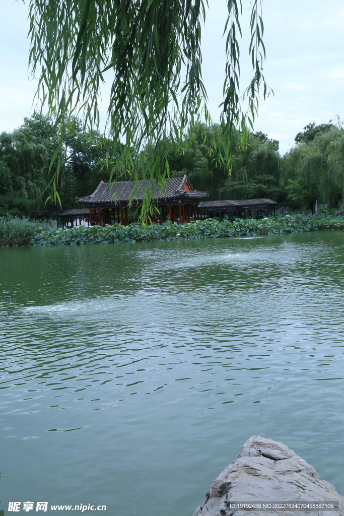 园林风景 