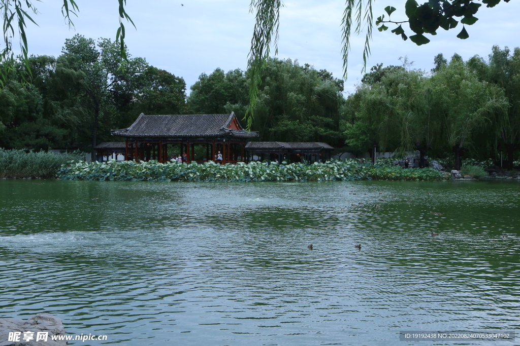 园林风景 