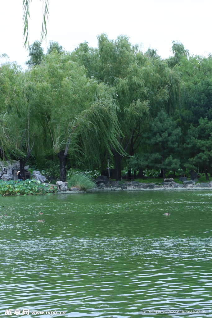 公园风景
