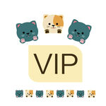 小猫VIP