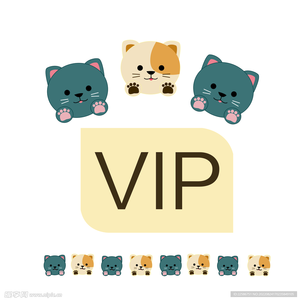 小猫VIP
