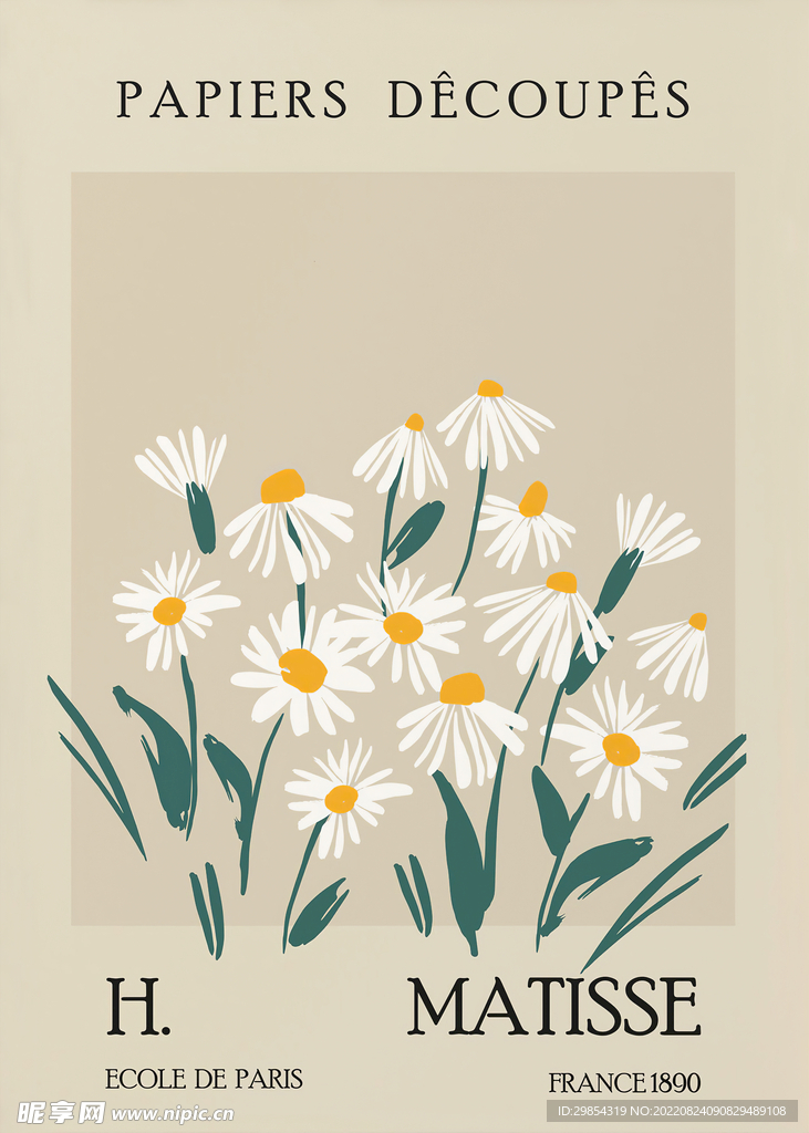 白色的花