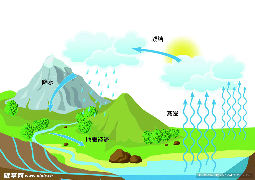 水循环