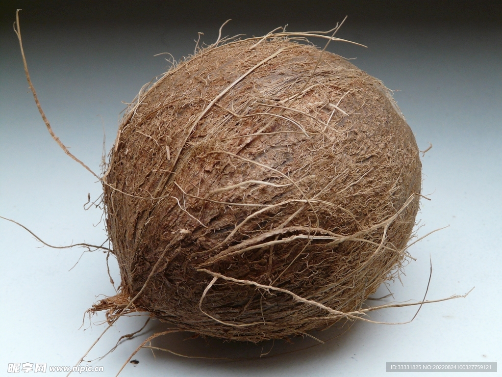 新鲜椰子素材-新鲜椰子图片-新鲜椰子素材图片下载-觅知网