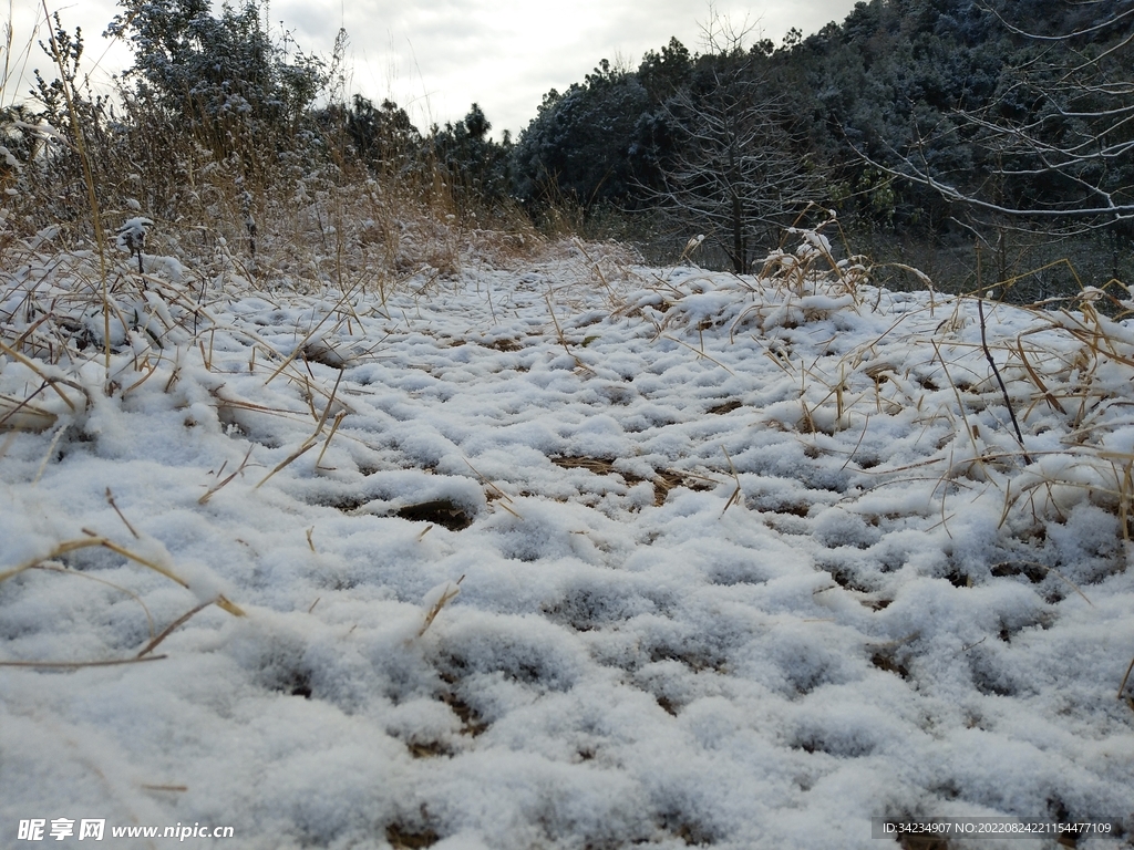 宜东镇山上下雪