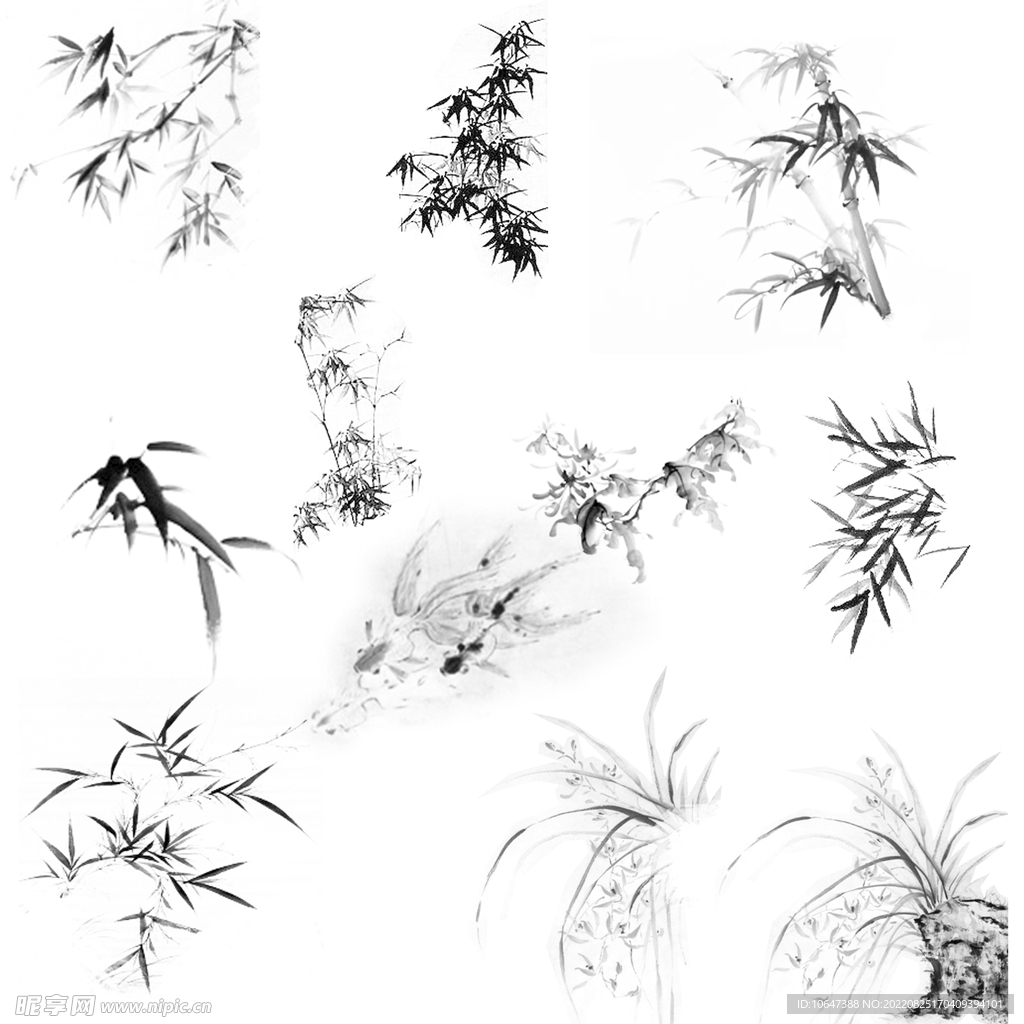 竹子素材